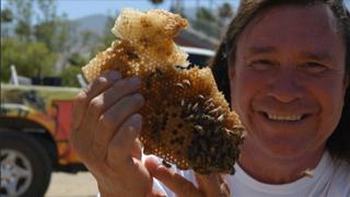 Showdown at Killer Bee Ranch PT 2