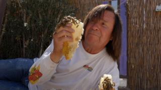 It's Raining Cats & Bees It's Raining Cats & Bees