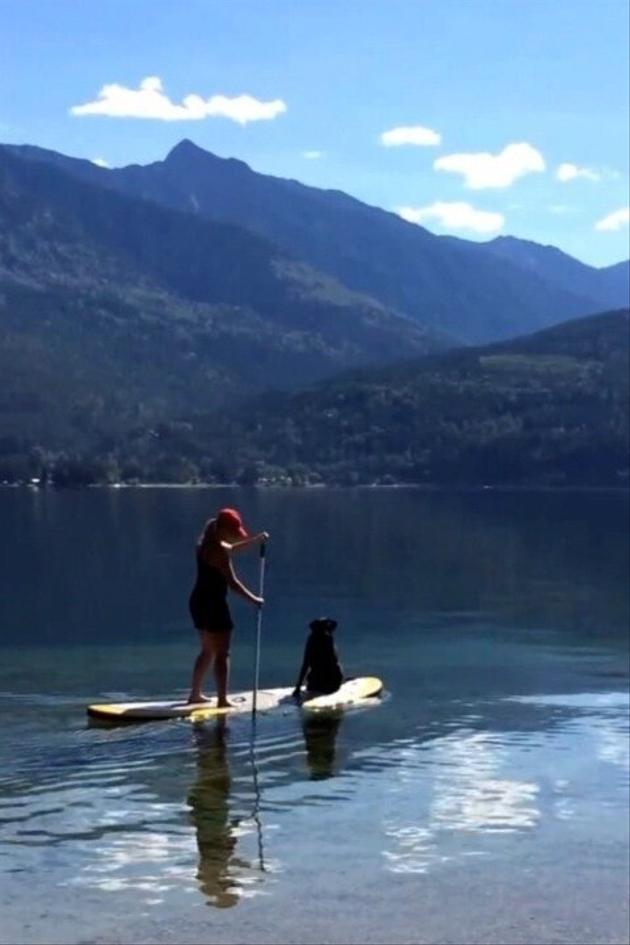 The Pet Collective Presents: Most Valuable Pets 2