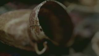 Teddy Bear's Picnic, POX, Imaginary Portrait Teddy Bear's Picnic, POX, Imaginary Portrait