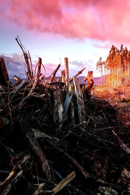 Atlas of a Changing Earth