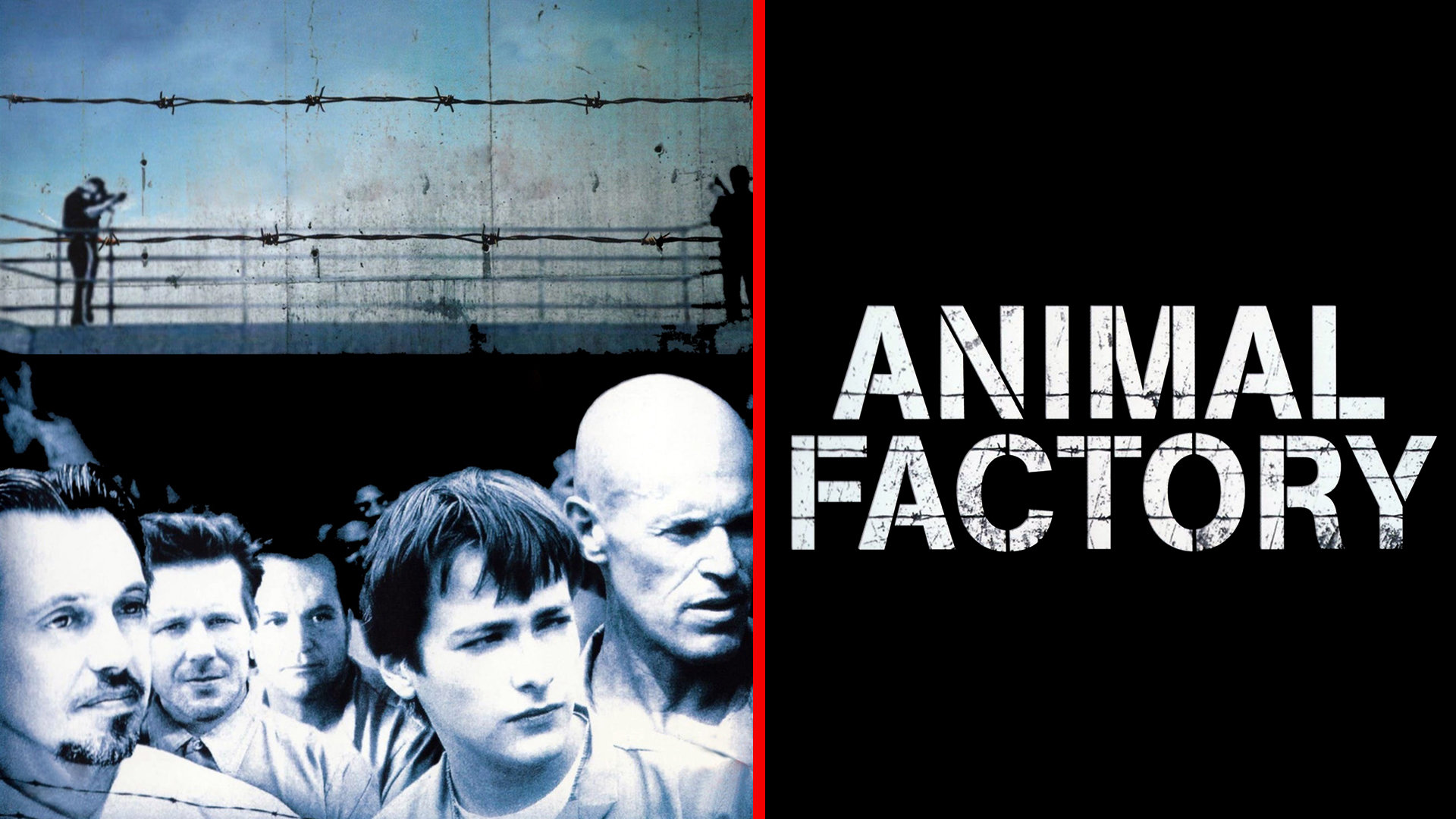 Watch Animal Factory Streaming on Philo