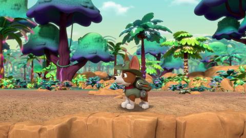 Jungle Pups: Pups Find a Hidden Jungle