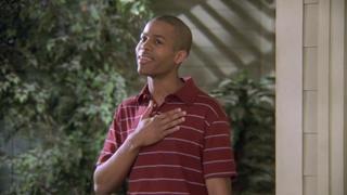 The V Story The V Story