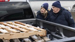 Frozen Stiffs Frozen Stiffs