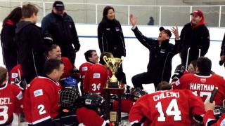 The Ambassadors of Goodwill