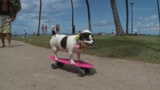 Unbreakable Bond Unbreakable Bond