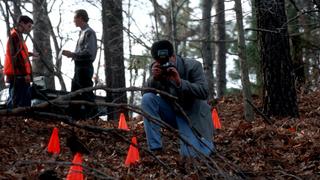 Career Criminal Career Criminal