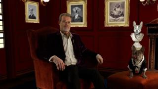 Fears, Foodies and Escape Artists Fears, Foodies and Escape Artists