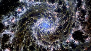 Webb of Life Webb of Life