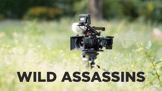 Wild Assassins