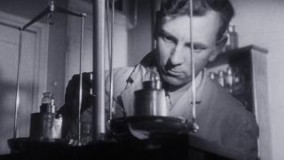 Bald Eagles, X-Rays, Movies!