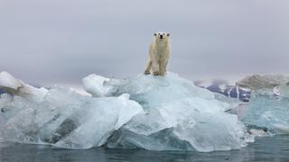 Melting Ice