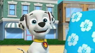 PAW Patrol