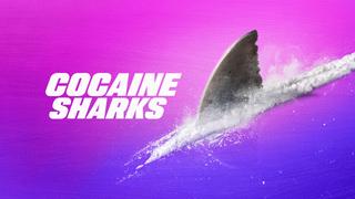 Cocaine Sharks