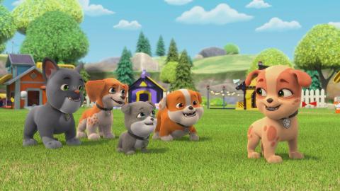 The Crew Builds a Splash Park; The Crew Builds a Playroom