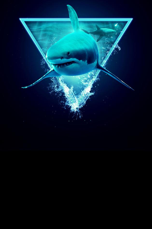 Monsters of the Bermuda Triangle