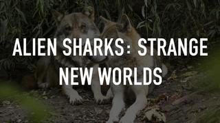 Alien Sharks: Strange New Worlds