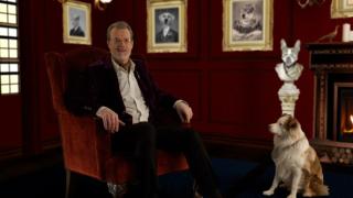 What Are You Pets Saying? What Are You Pets Saying?