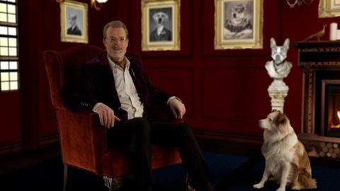 What Are You Pets Saying?