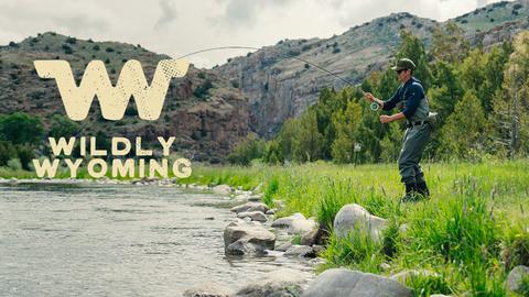 Wildly Wyoming