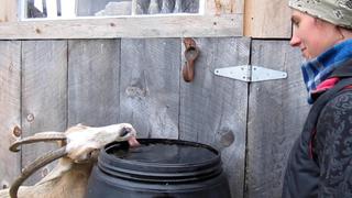 Fear Takes Over Fear Takes Over