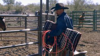 Ultimate Cowboy Showdown