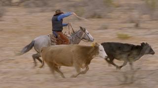 Ultimate Cowboy Showdown