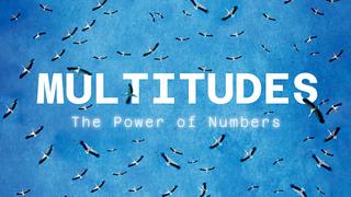 Multitudes: The Power of Numbers