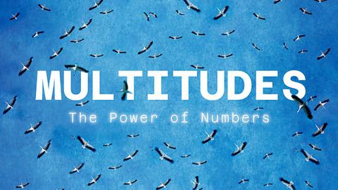 Multitudes: The Power of Numbers