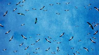 Multitudes: The Power of Numbers