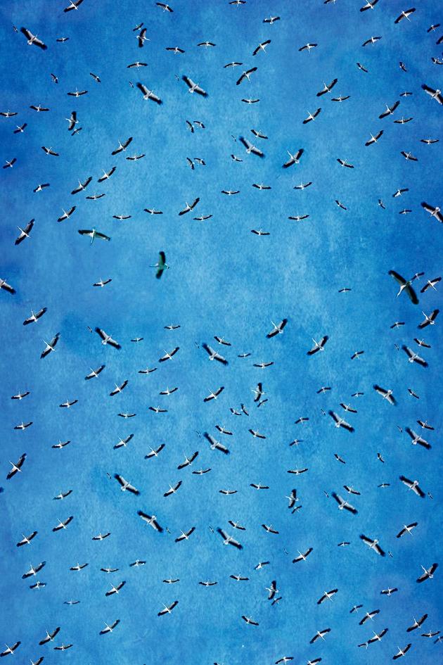 Multitudes: The Power of Numbers