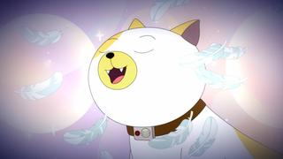 Cake the Cat Cake the Cat