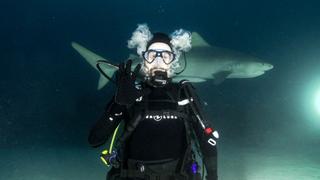 Night Diving with Sharks