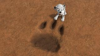 PAW Patrol