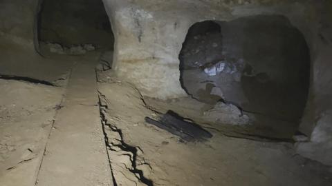Green Creature in Aruba Cave and More