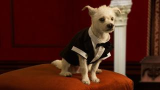 Dinner and a Movie Dinner and a Movie