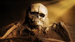 The Atacama ``Alien'' Skeleton The Atacama ``Alien'' Skeleton