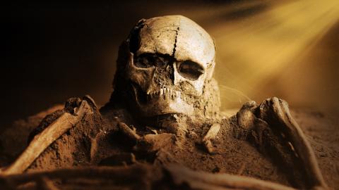 Drowned Stone Age Fishe