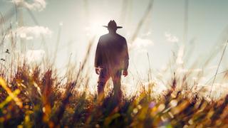 1 Dead Bear, 3 Different Stories