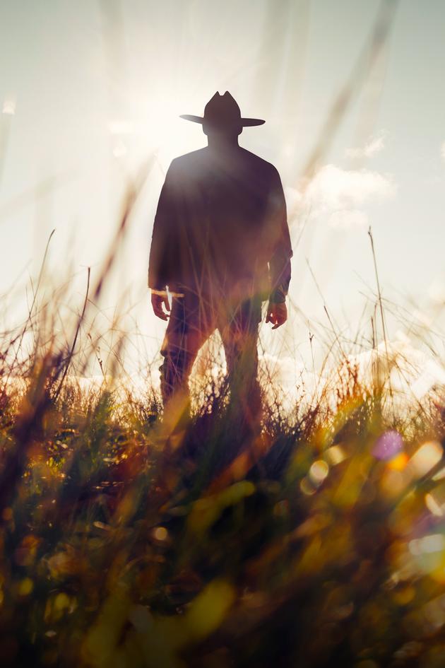 Wardens of the North