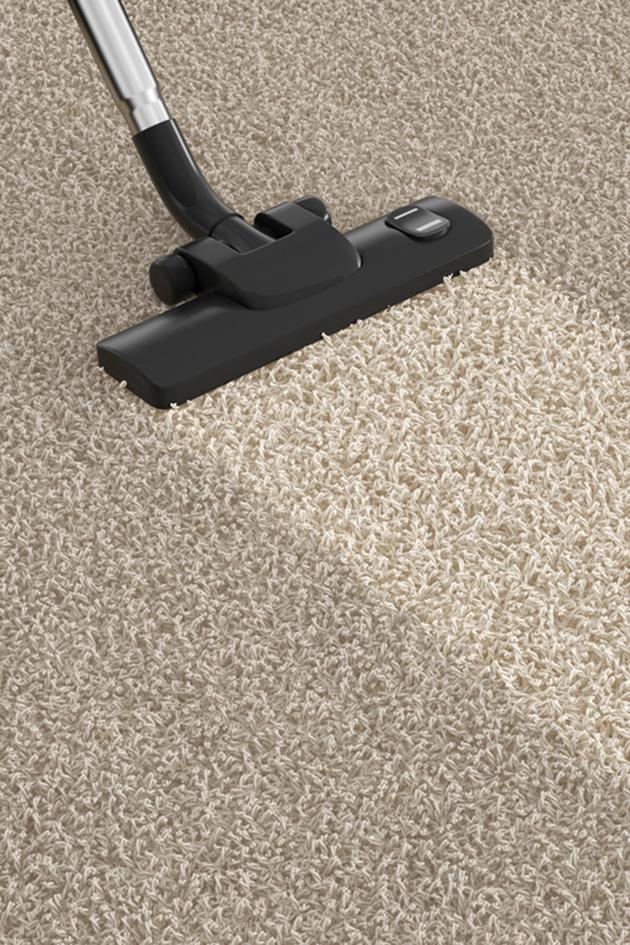 NEW Shark Deep Carpet Cleaner