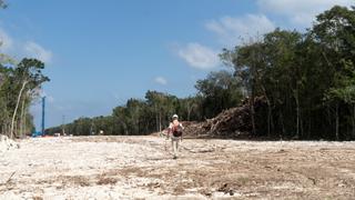 Deforestation Deforestation