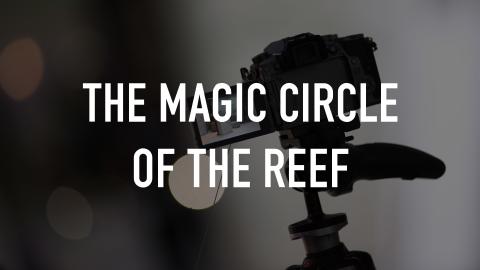 The Magic Circle of the Reef
