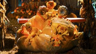Outrageous Pumpkins