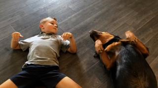 Gentle Giants Gentle Giants