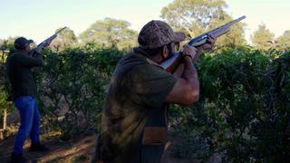 Like Father, Like Son Like Father, Like Son