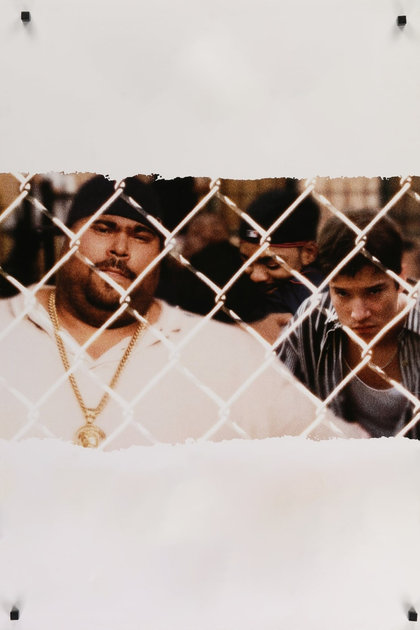 Boricua's Bond