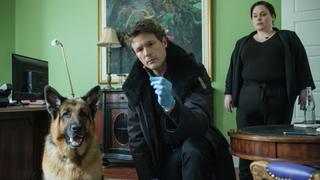 Hound & Vision Hound & Vision