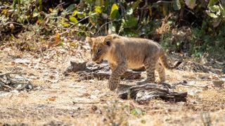 Tragedy Strikes Kakumbi Tragedy Strikes Kakumbi